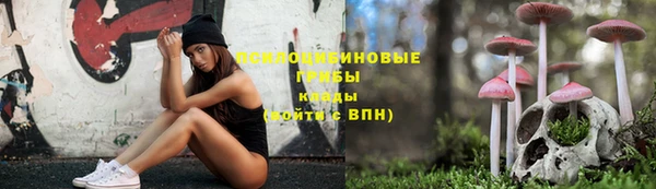 ПСИЛОЦИБИНОВЫЕ ГРИБЫ Алексин