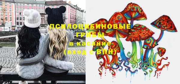 ПСИЛОЦИБИНОВЫЕ ГРИБЫ Алексин