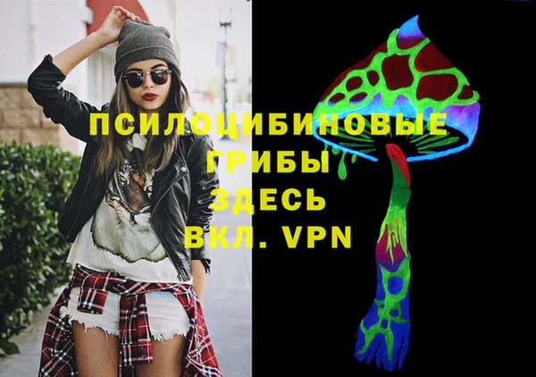 Альфа ПВП Алзамай
