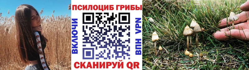 купить наркотики цена  Удачный  Галлюциногенные грибы Psilocybine cubensis 